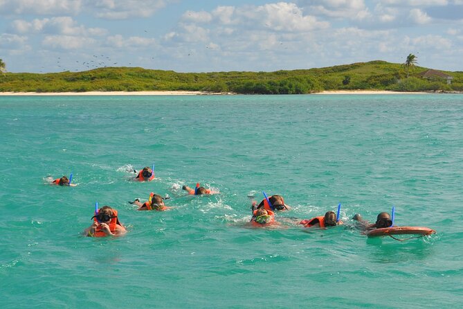 Paradise Islands Tour: Isla Contoy and Isla Mujeres - The Sum Up