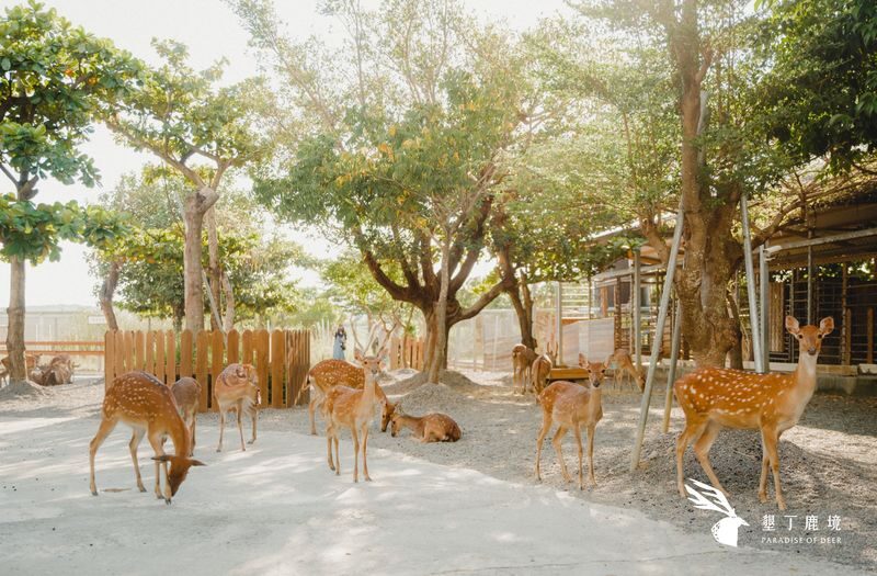Paradise of Deer Ticket in Kenting Pingtung - What to Know Before You Go