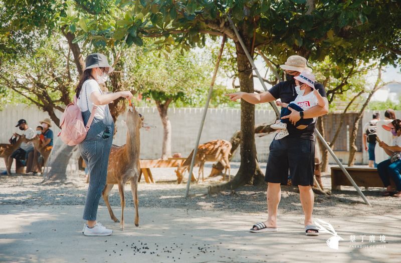 Paradise of Deer Ticket in Kenting Pingtung - Meeting the Deer at Kenting Deerland