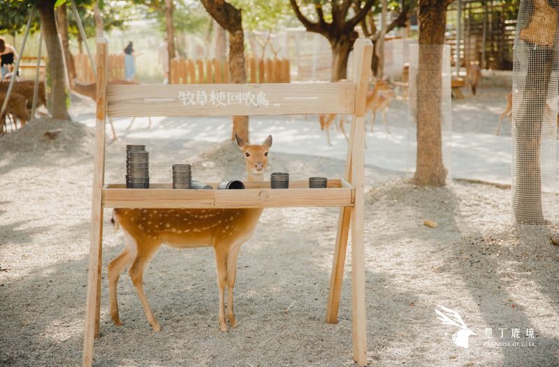 Paradise of Deer Ticket in Kenting Pingtung - Is the Ticket Good Value?