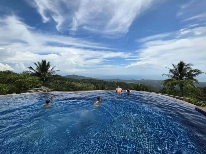 Paradise Park Farm Entry Ticket with Transfer - Good To Know