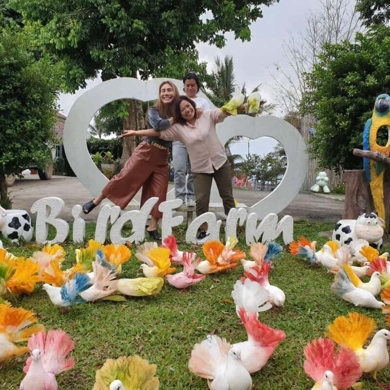 Paradise Park Farm Entry Ticket with Transfer - A Closer Look at Paradise Park Farm