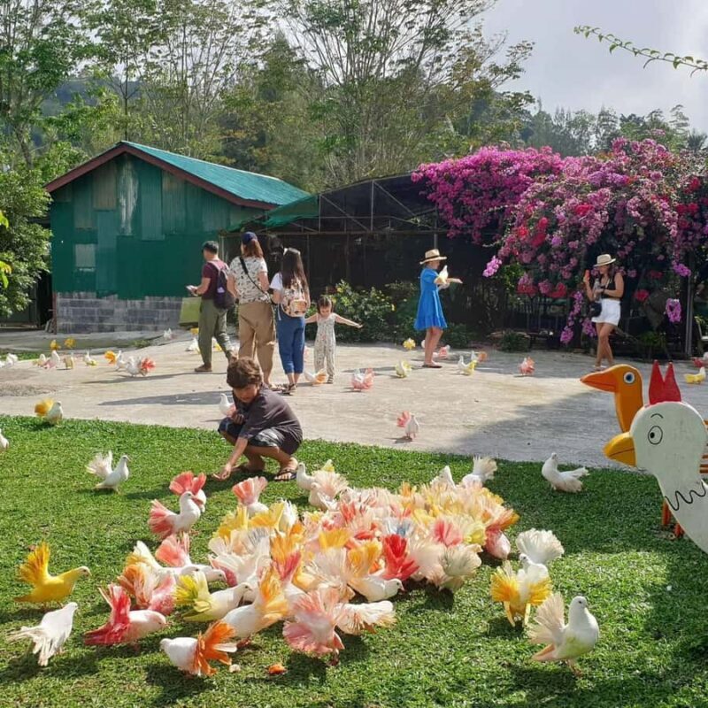 Paradise Park Farm Entry Ticket with Transfer - Who Will Love This Tour?