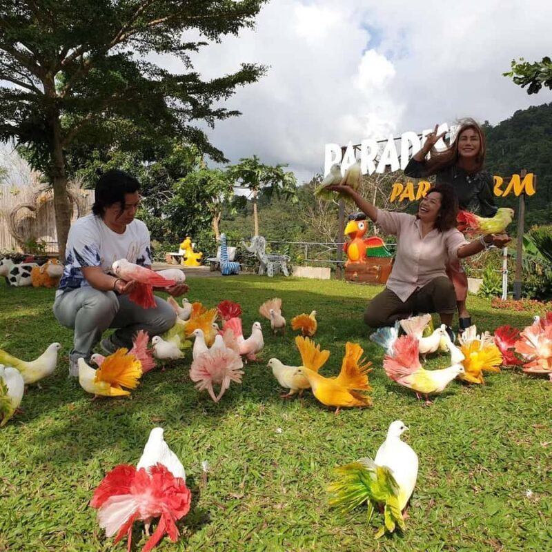 Paradise Park Farm Entry Ticket with Transfer - Frequently Asked Questions