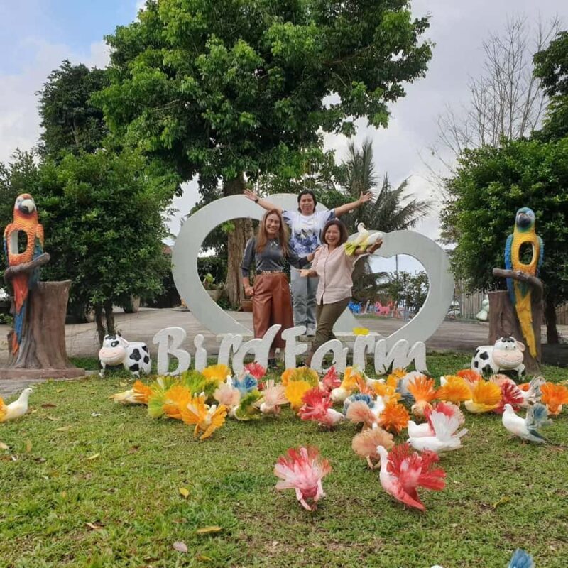 Paradise Park Farm Entry Ticket with Transfer - Pricing and Value