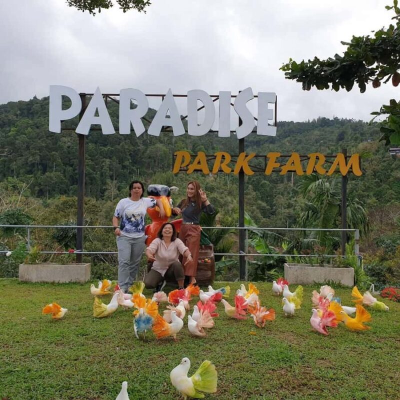 Paradise Park Farm Entry Ticket with Transfer - Considerations and Tips