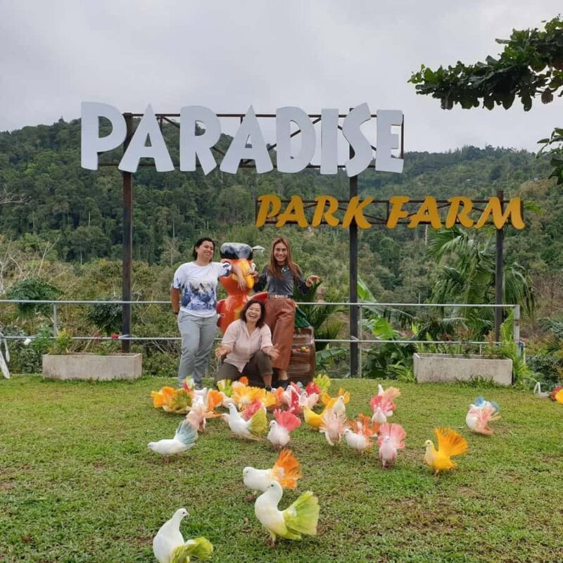 Paradise Park Farm Entry Ticket with Transfer - Final Thoughts