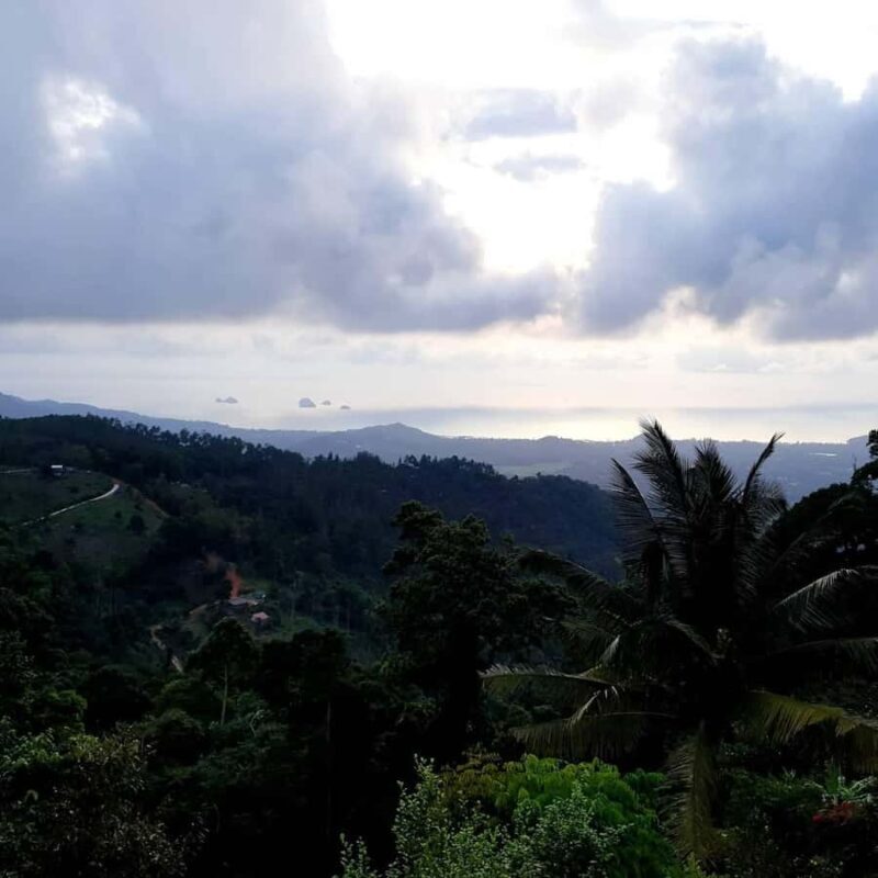 Paradise Park Farm Entry Ticket with Transfer - FAQ