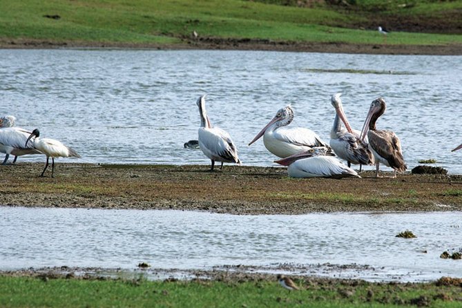 Paradise Sri Lanka (10N /11 D) - Tour Highlights