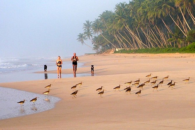 Paradise Sri Lanka (10N /11 D) - Frequently Asked Questions