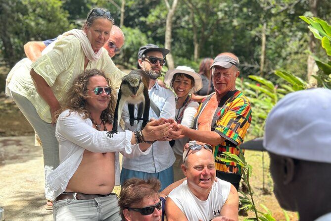 Paradise Unveiled Full Day Island Escape - Good To Know