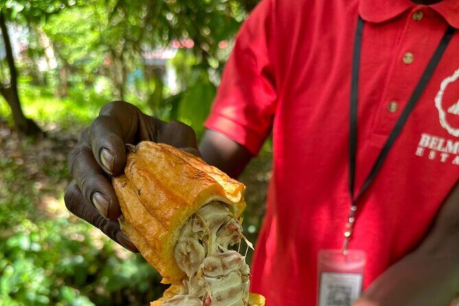 Paradise Unveiled Full Day Island Escape - FAQ