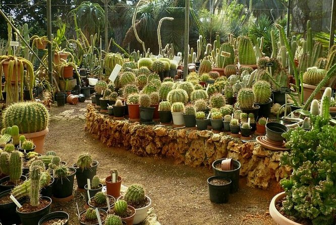 Paradise Valley Agadir Atlase Montain With Breakfast & Swimming - Additional Information