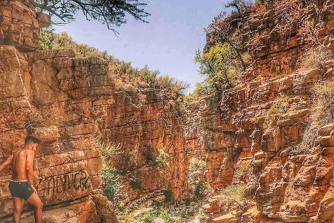 Paradise Valley Agadir Half Day Tour - Meeting and Pickup Information