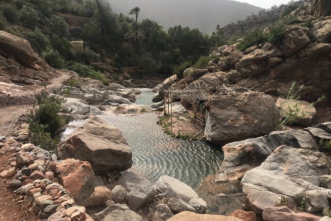 Paradise Valley Agadir Half Day Tour - Traveler Reviews and Ratings