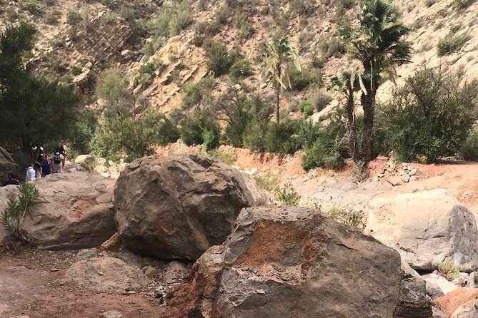 Paradise Valley Agadir Half Day Tour - Pricing and Copyright Information