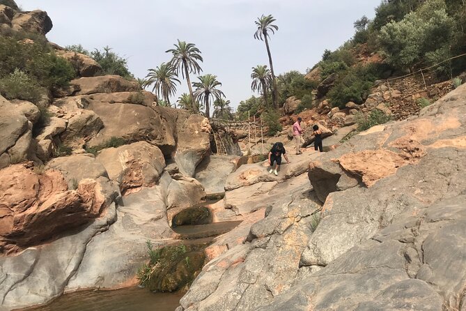 Paradise Valley Agadir Half Day Tour - Common Questions