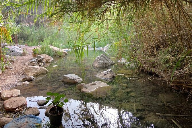 Paradise Valley and Atlas Mountains Swim Adventure in Agadir - The Sum Up