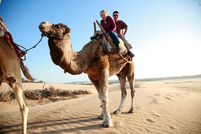 Paradise Valley and Camel Ride at Sunset Pass - Contacting Viator for Questions and Assistance