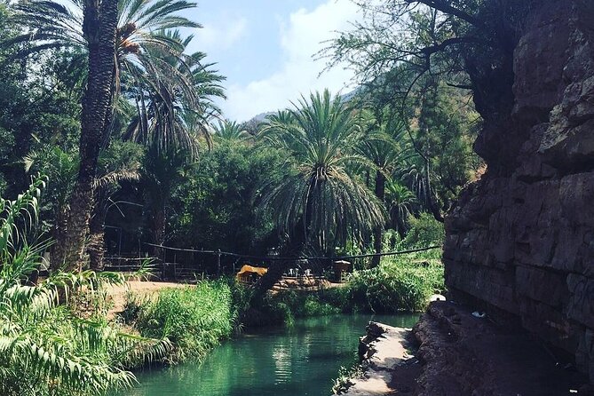 Paradise Valley And Taghazout Private Day Trip - Guides Friendliness and Language Skills