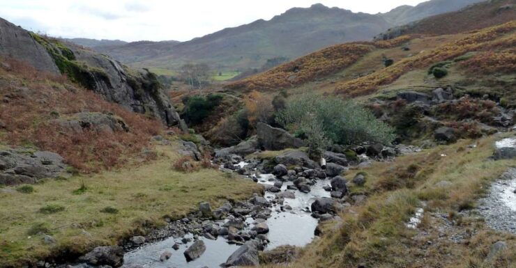 Paradise Valley Atlas Mountains Swimming Experience - Good To Know
