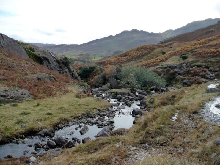 Paradise Valley Atlas Mountains Swimming Experience - Experience Highlights