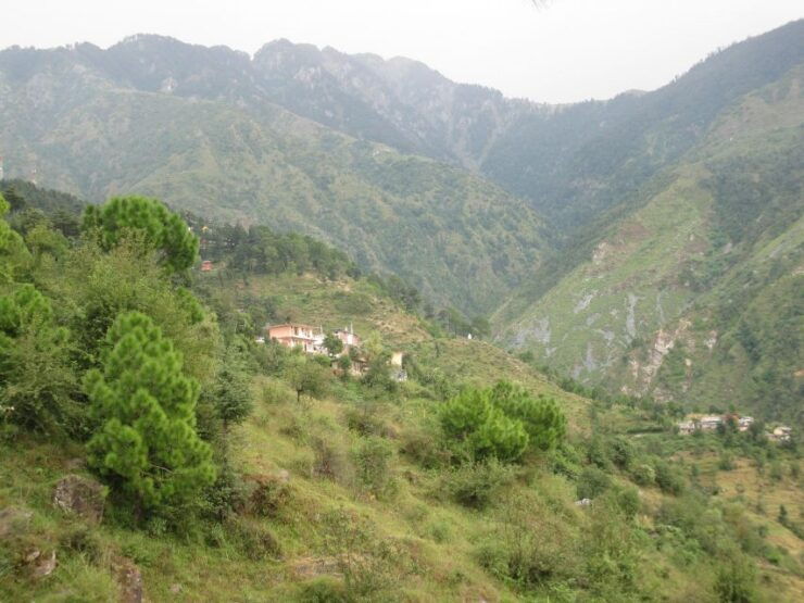 Paradise Valley Atlas With Lunch & Camel Ride & City Tour - Activity Details