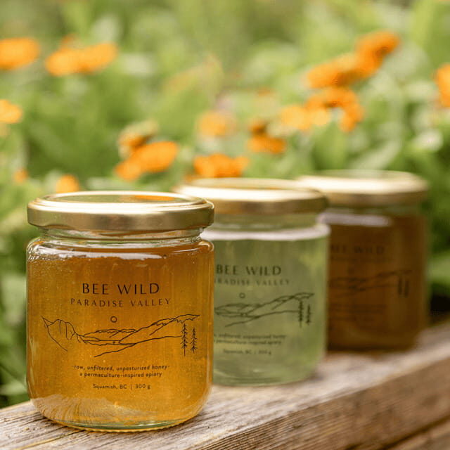 Paradise Valley: Bee Adventure Tour! - The Sum Up