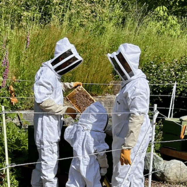 Paradise Valley: Bee Adventure Tour! - FAQ