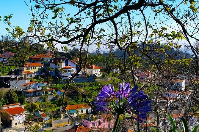 Paradise Valley - Levada Walk - Common Questions