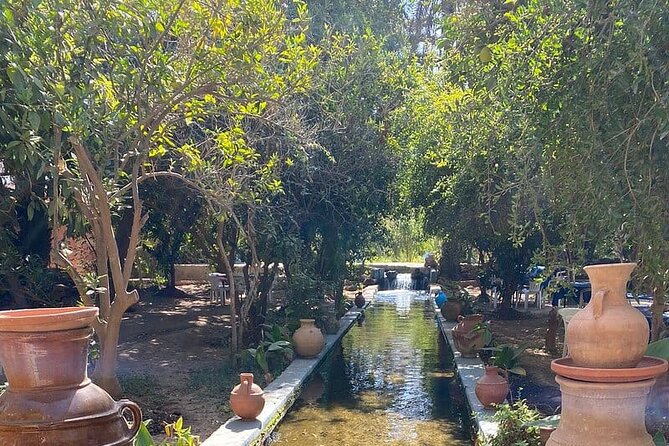 Paradise Valley With Waterfalls in Agadir - Price