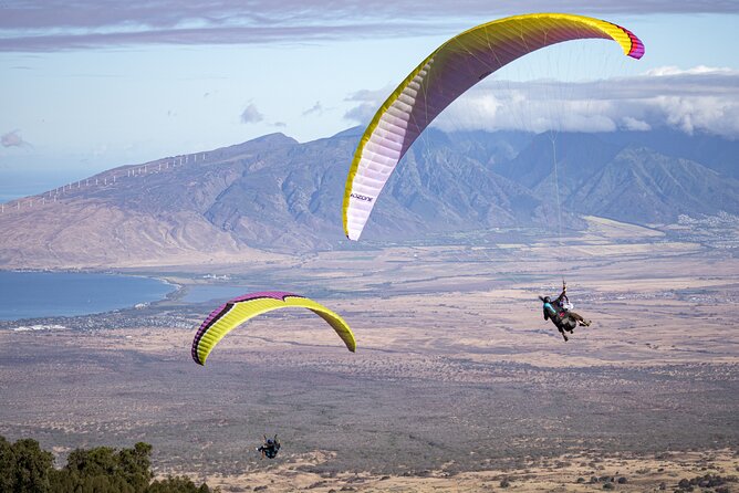 Paraglide Mauis 1K Tandem Paragliding Experience - Common Questions