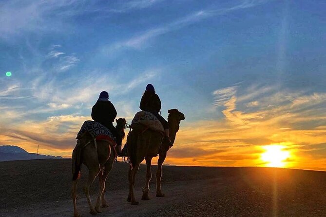 Paragliding and Atlas Mountains Small Group Day Tour - Marrakech - Pricing and Booking Details