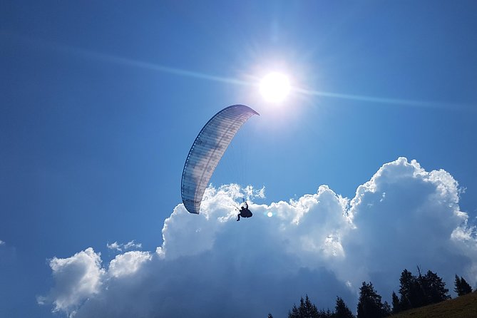 Paragliding and Tandem Flights in the Stubai Valley - Experience Details