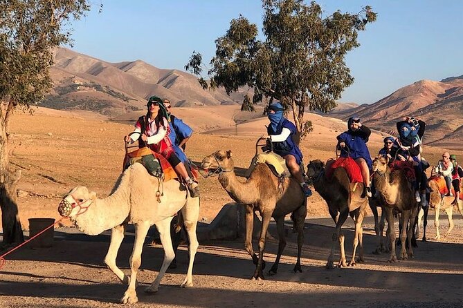 Paragliding & Day Tour With Camel Ride From Marrakech - Traveler Requirements