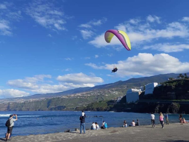 Paragliding from Puerto de la Cruz or Teide (day/sunset) - What to Expect During the Tour