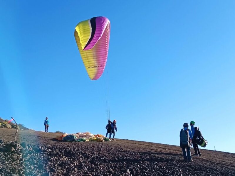 Paragliding from Puerto de la Cruz or Teide (day/sunset) - The Experience in Detail