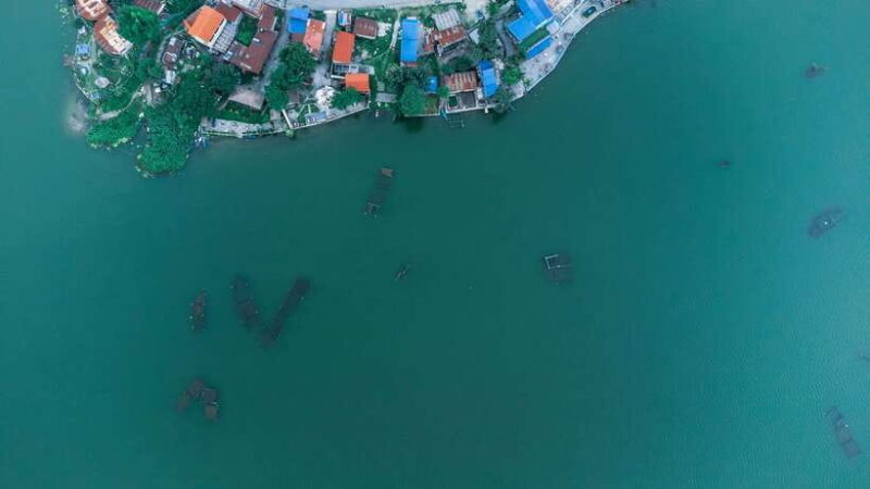 Paragliding in Pokhara: Ultimate Aerial Adventure Awaits - Pricing and Value