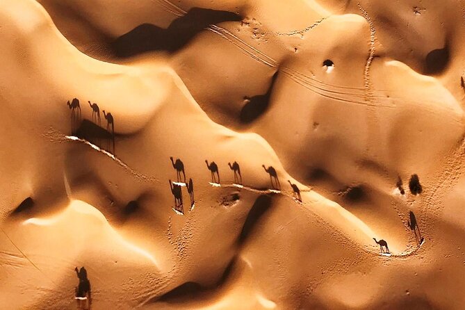 Paramoter Dubai Private Flight for 20 Minutes - Additional Information and Expectations