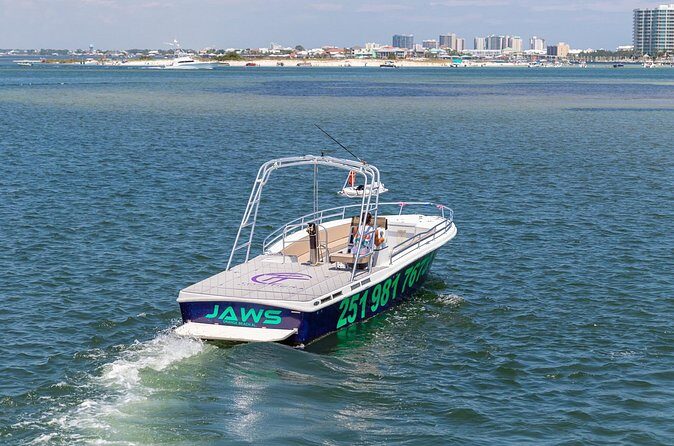 Parasailing Gulf Coast in Alabama - Practical Details & Tips