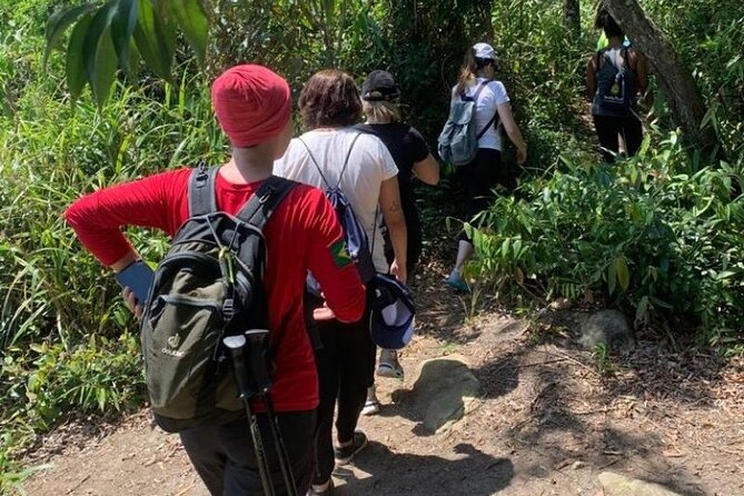 Paraty: Pão De Açucar Peak Tekking and Hiking Tour - Tour Itinerary