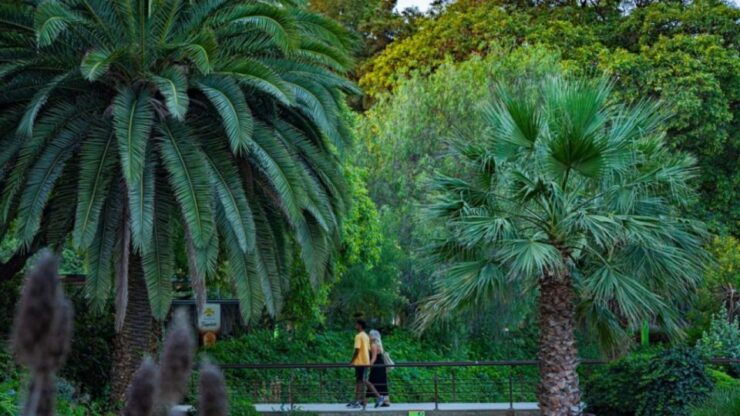 Parc De La Ciutadella: Photography Workshop+Tapa & Wine - Highlights