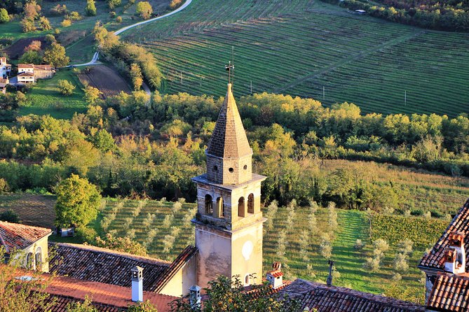 Parenzana Trail Full Day Cycling Tour From Pula, Rovinj, Poreč or Buje - Tour Highlights