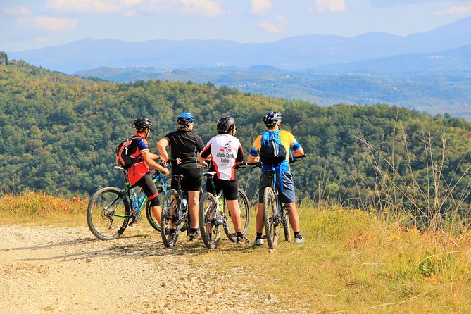 Parenzana Trail Full Day Cycling Tour From Pula, Rovinj, Poreč or Buje - Meeting and Pickup Details