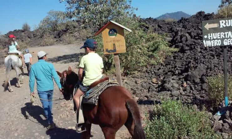 Paricutin Volcano Crater Special Tour - Good To Know