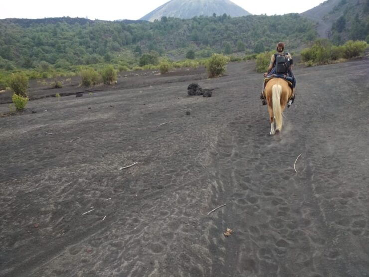 Paricutin Volcano Crater Special Tour - Experience Highlights