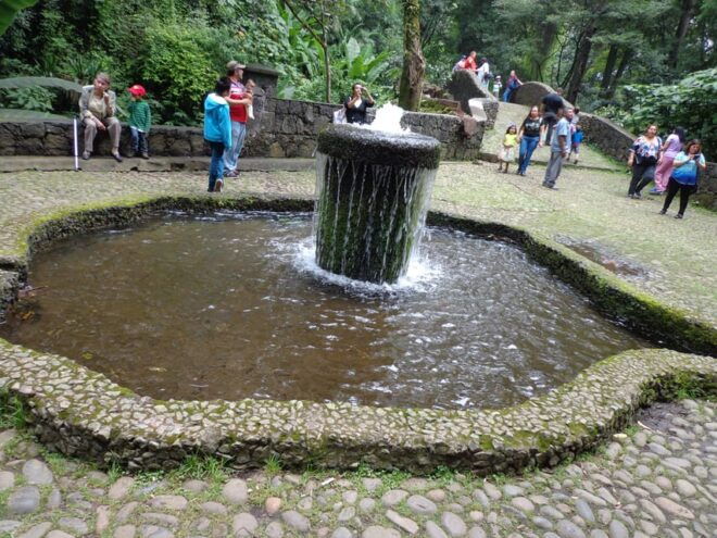 Paricutin Volcano Crater Special Tour - Itinerary