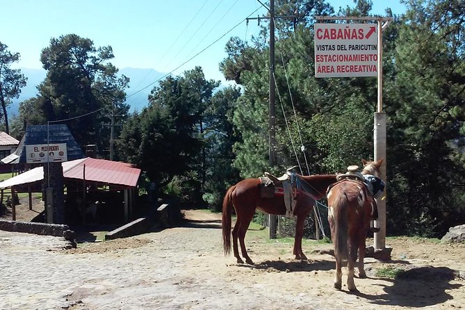 Paricutin Volcano Tour (Morelia) - Overview and Inclusions