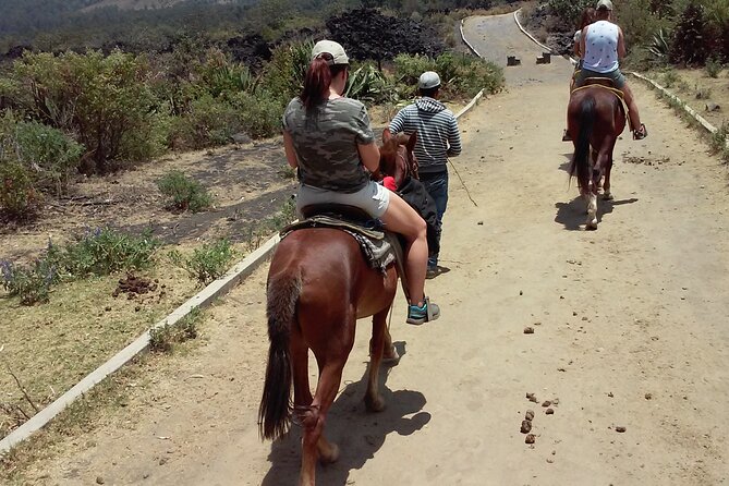 Paricutin Volcano Tour (Morelia) - Common Questions