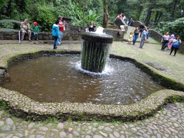 Paricutin Volcano Tour - Enjoy Lunch With Avocados